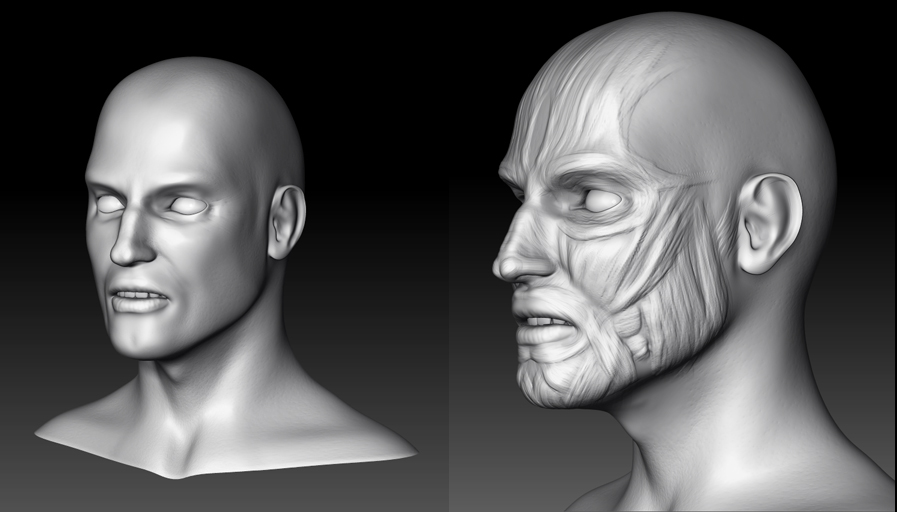 HeadM.jpg