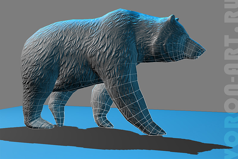 brown bear03.jpg