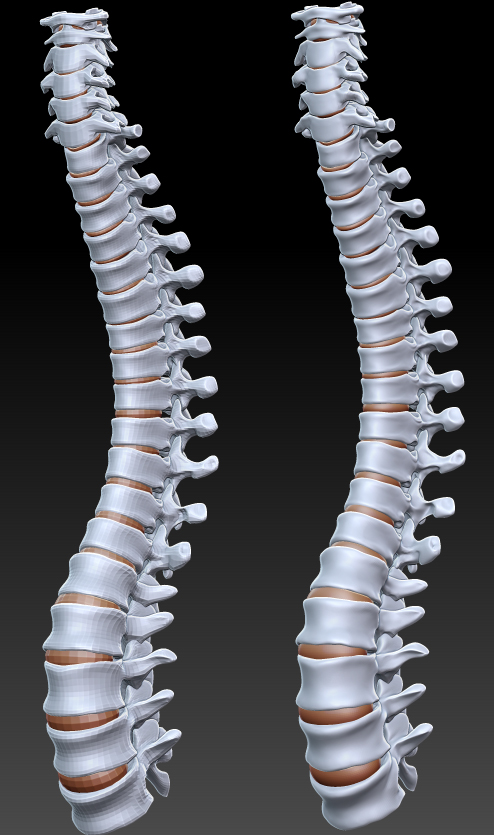 spinelevels.jpg