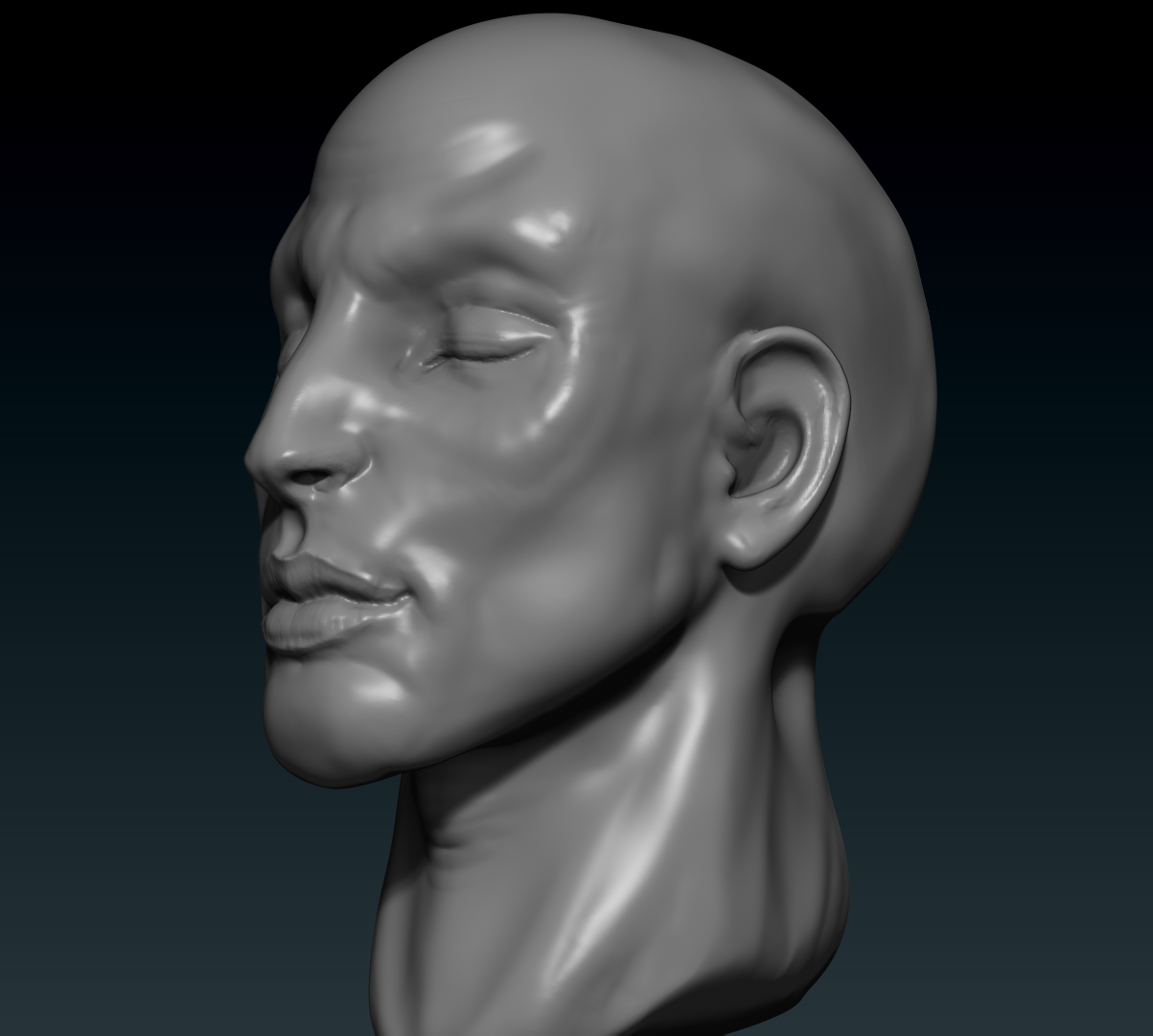 ZBrush ScreenGrab01 Male Face7.jpg