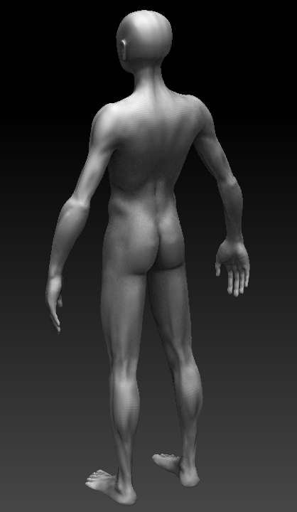 MS2_back.jpg