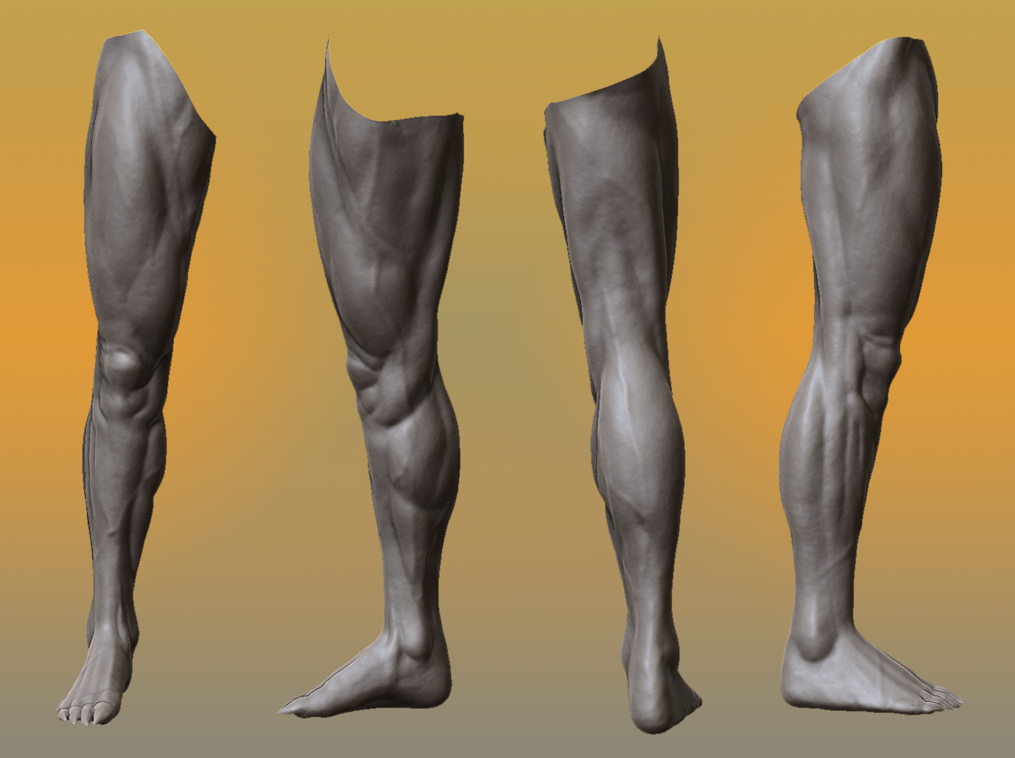 Leg_Update.jpg