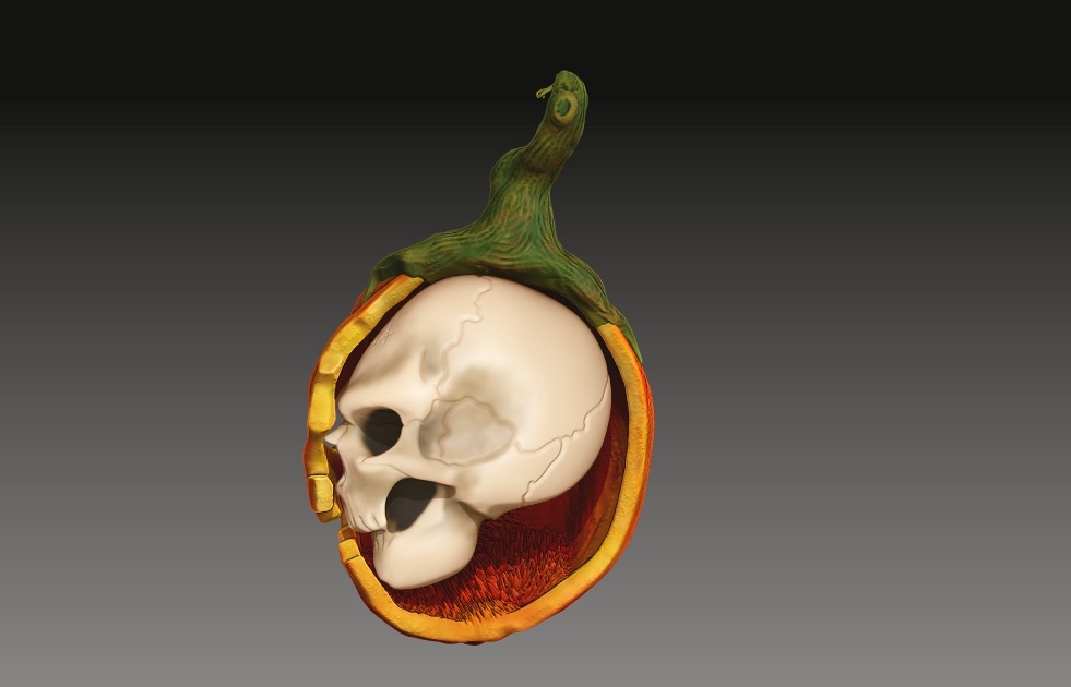 image.jpg