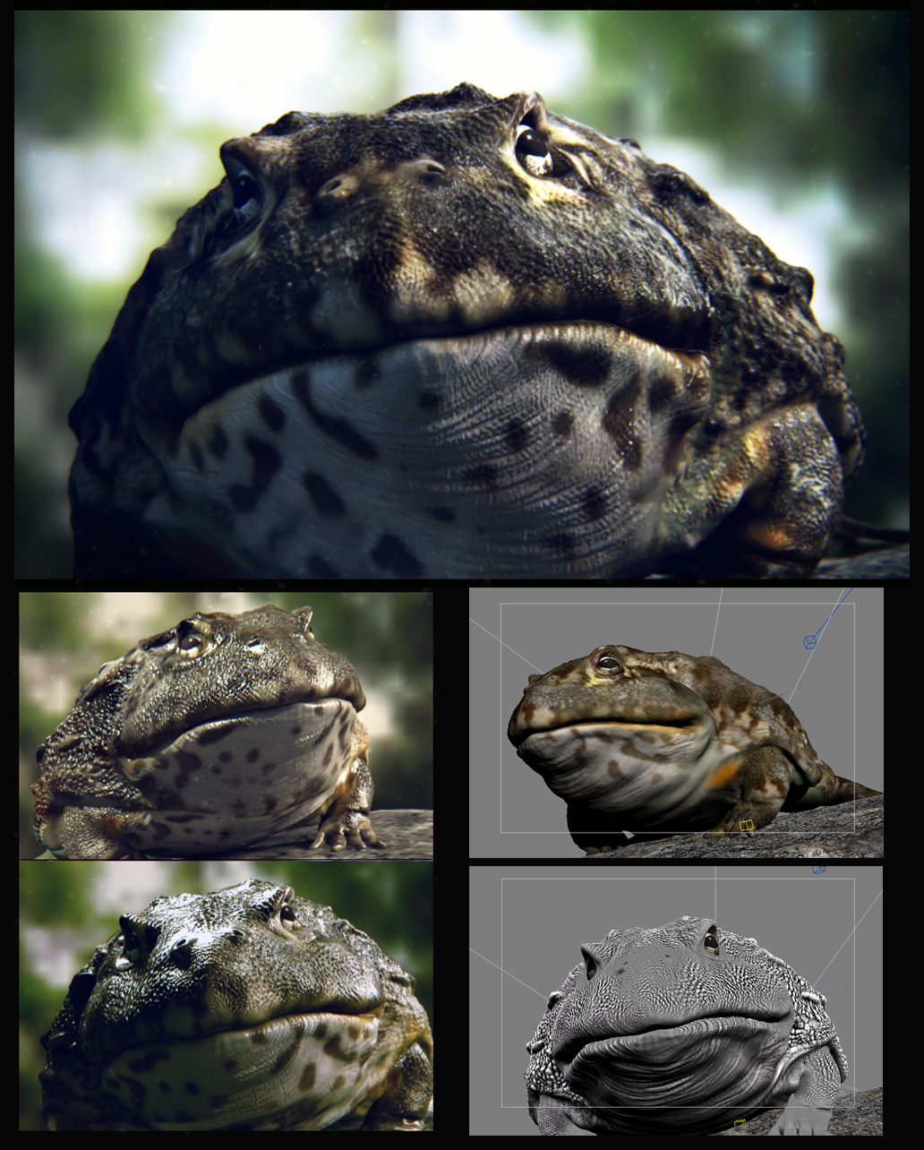 Frog_3D1.jpg