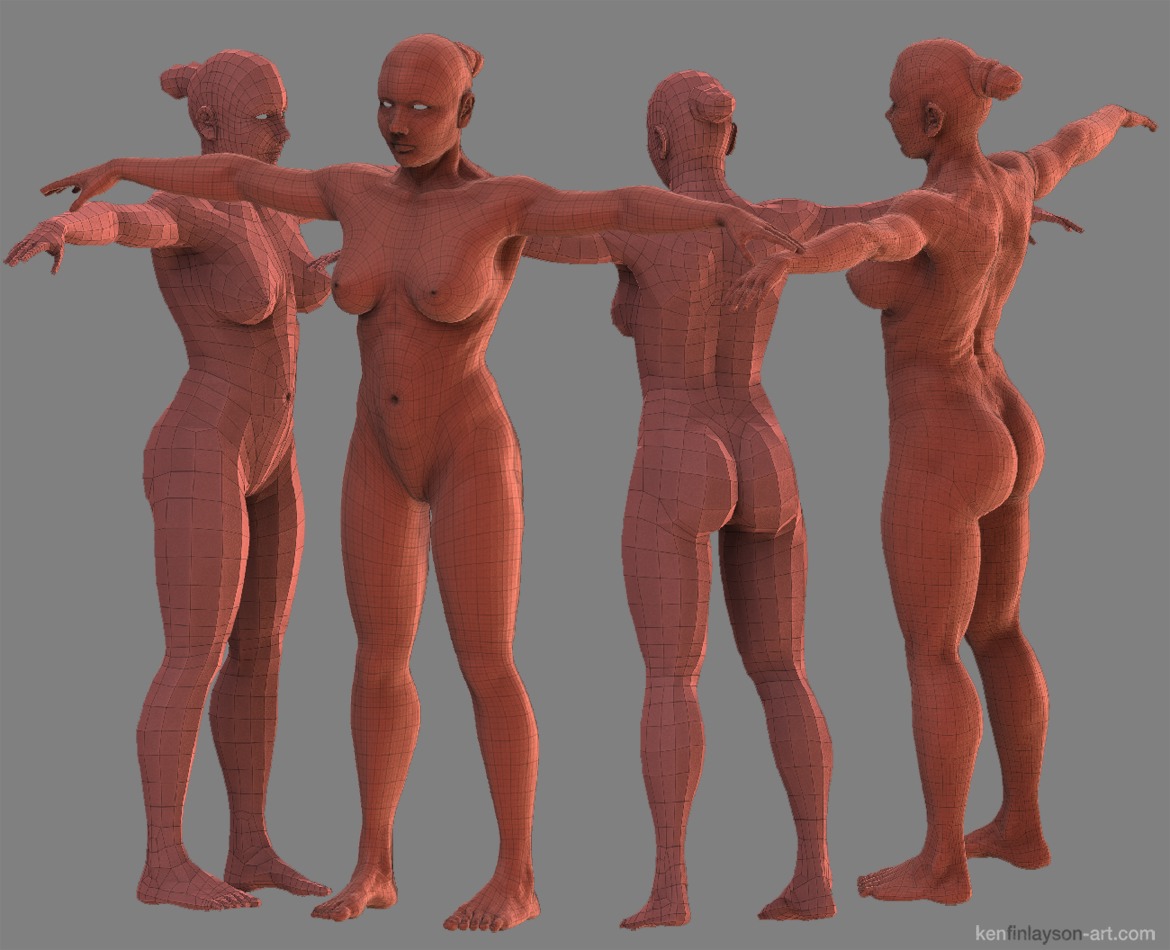 Anatomical_woman_wires_sml.jpg