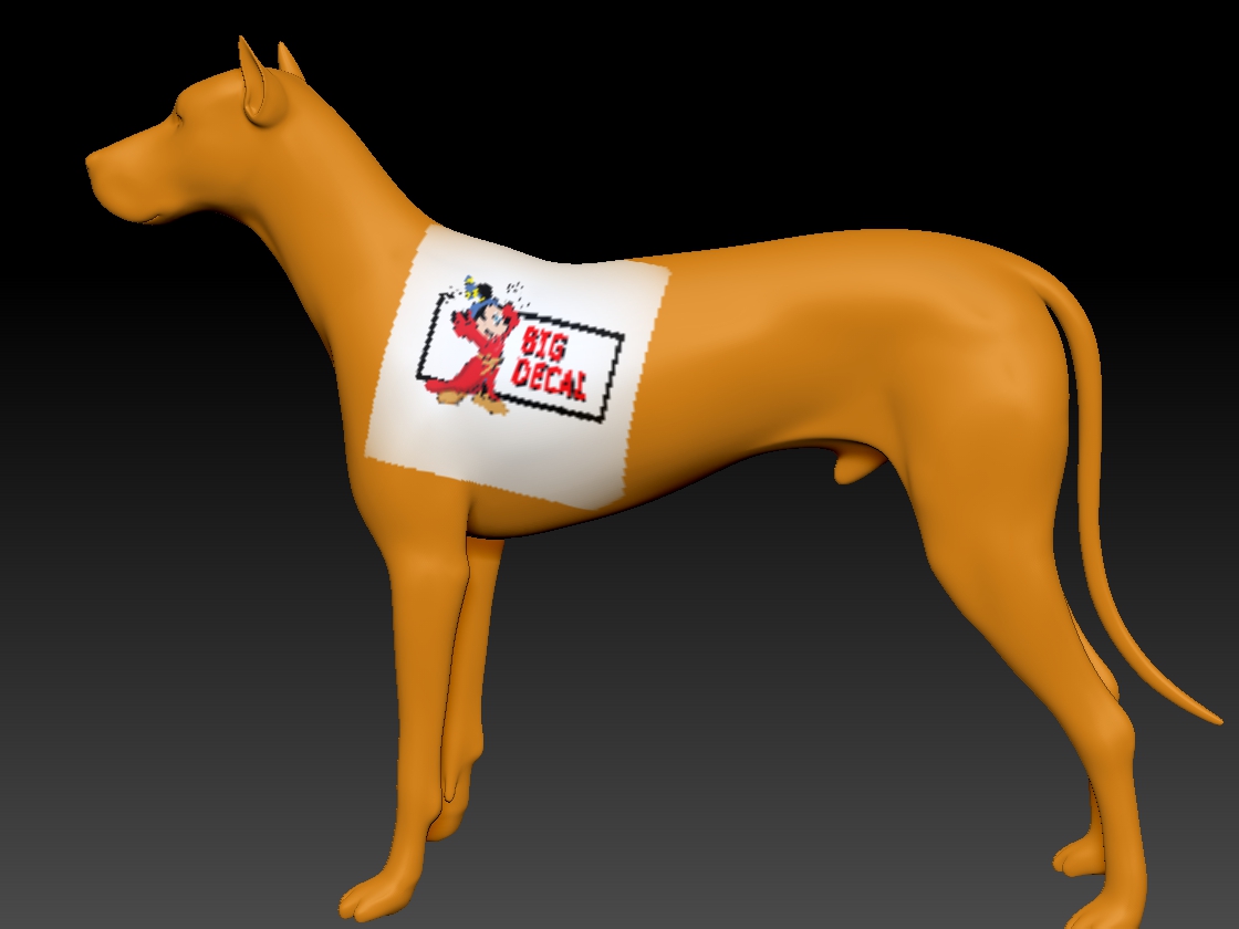 Decal On Dog.jpg