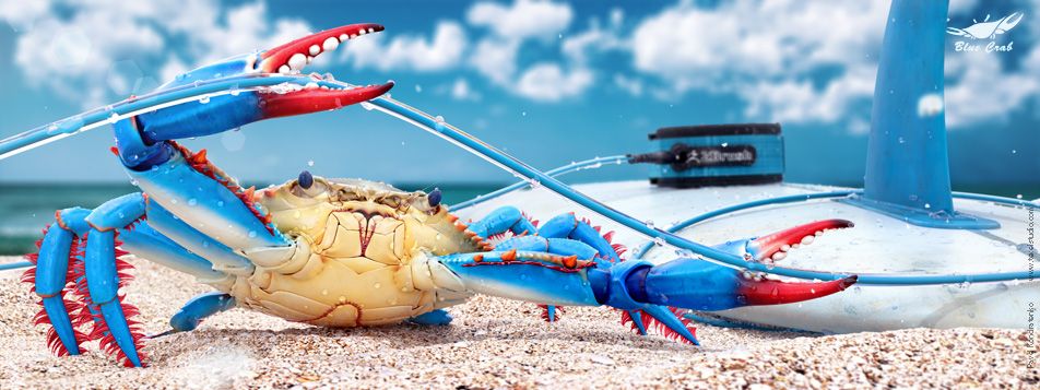 crab_01_resolition_952.jpg
