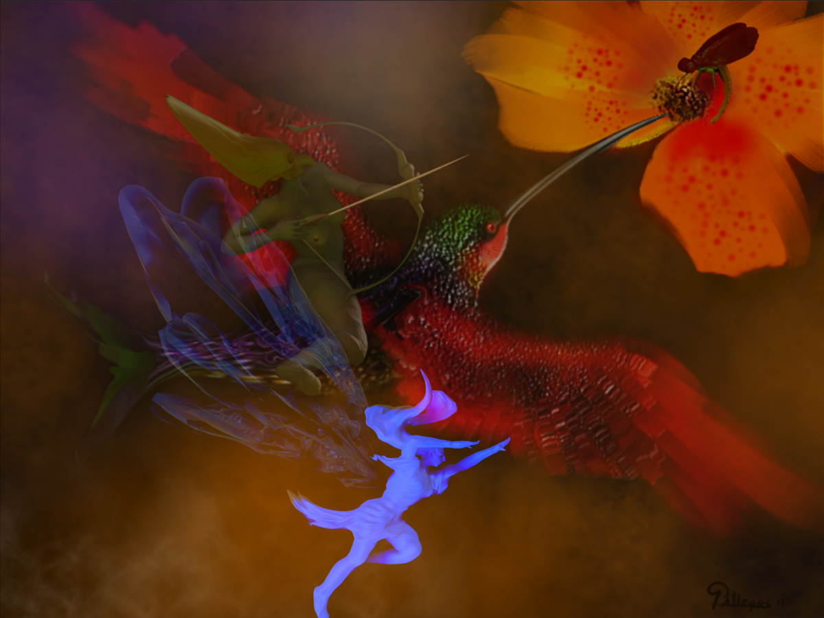 HUMMINGBIRD 31.jpg