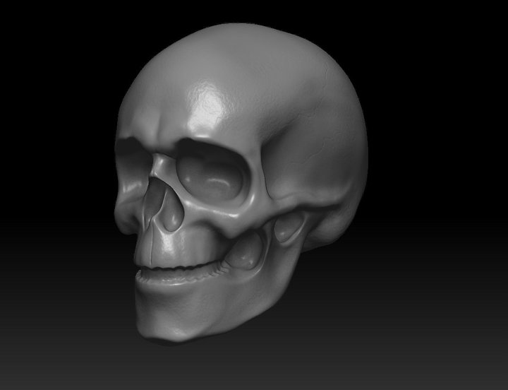 skull.jpg