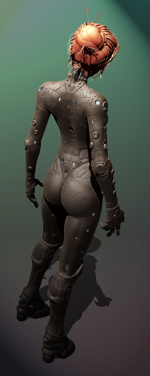 back.jpg