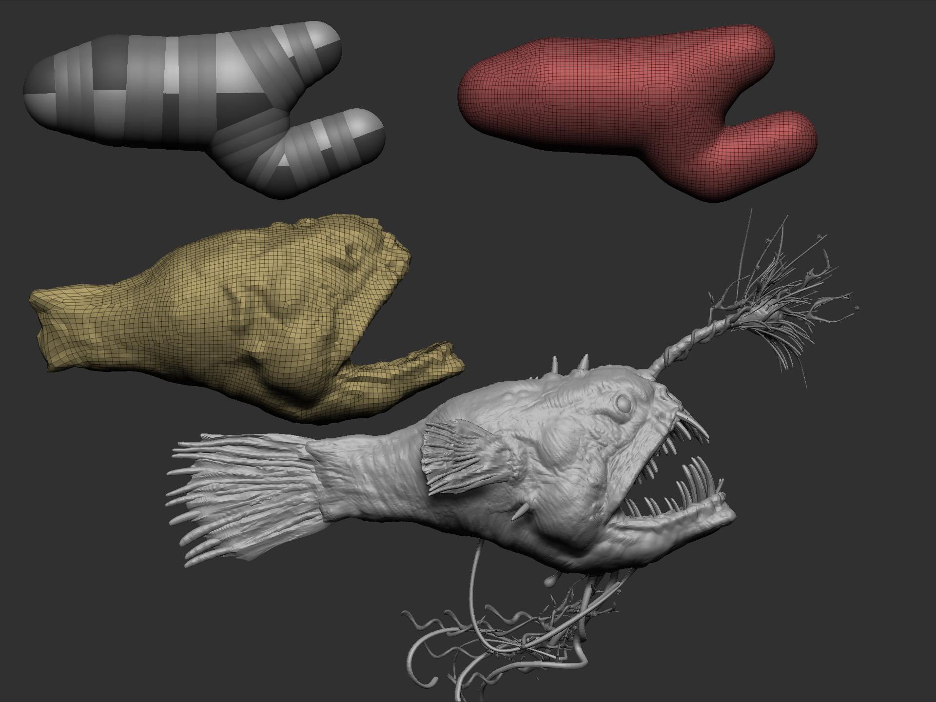 fish basic 2.1workflow.1.jpg