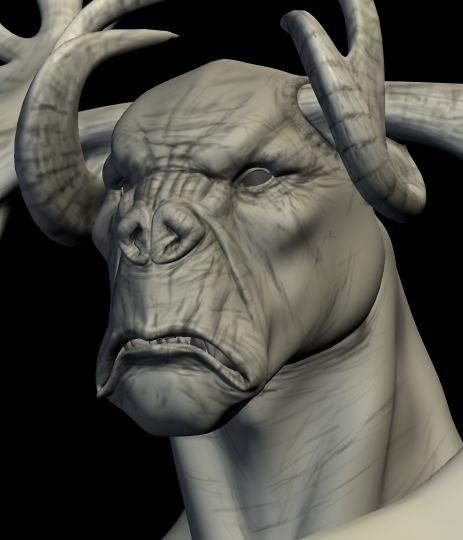 Head_Detail.jpg