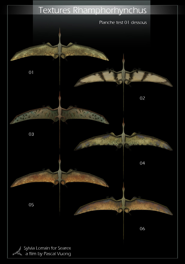 Rhamphorhynchus04.jpg