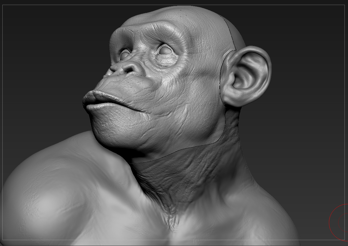 Chimp_0008