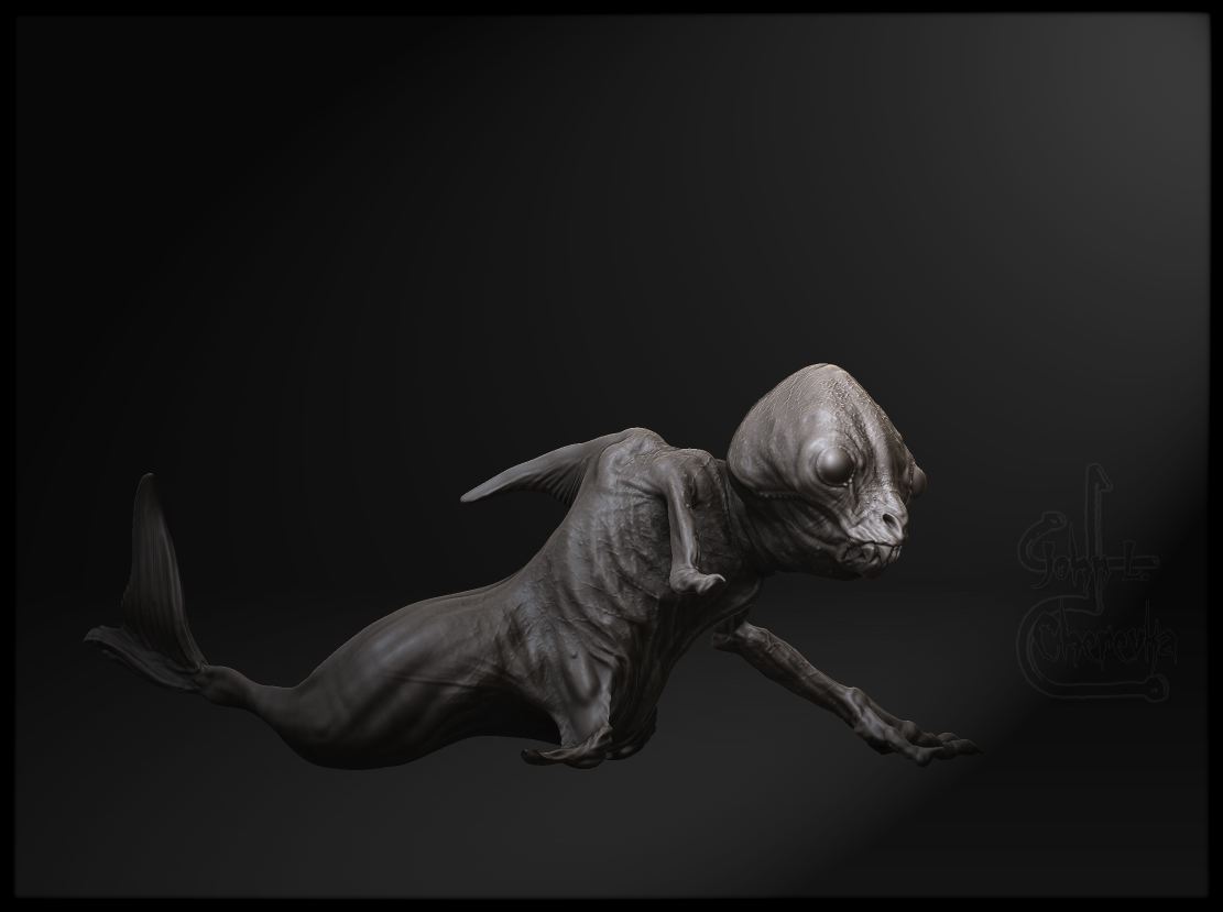 fijimermaid4.jpg