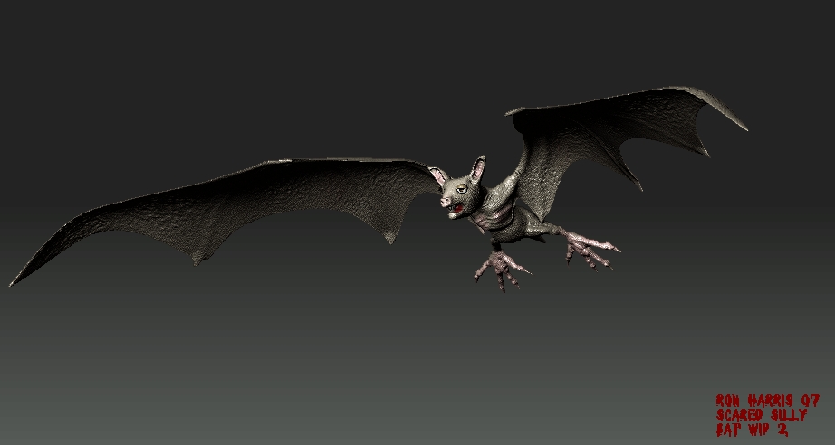 bat23.jpg