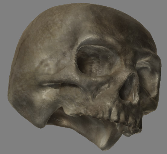skull_wip6.jpg