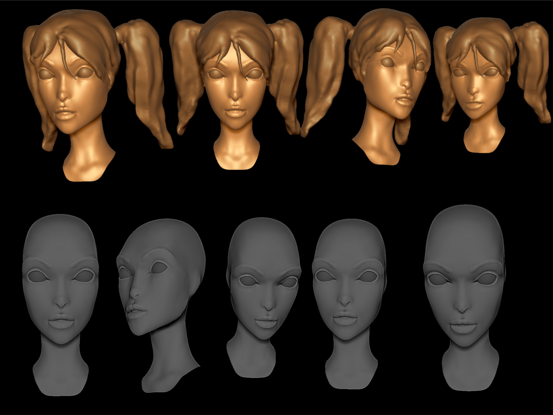 female_head_Ver1.jpg