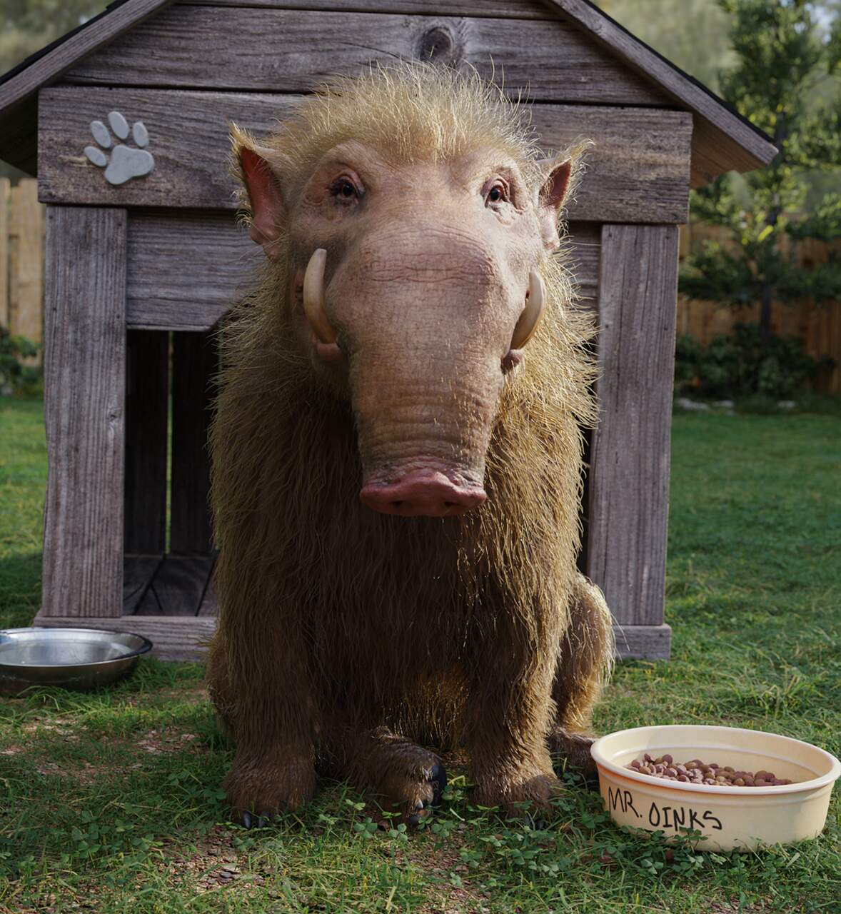 oinkssssssssss