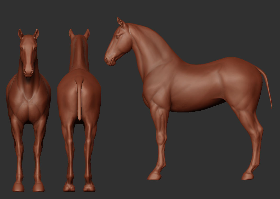 HorseOrtho.jpg
