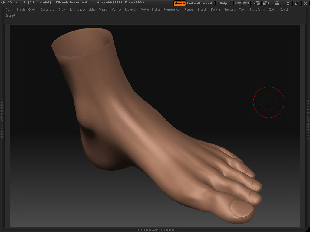 Feet.jpg