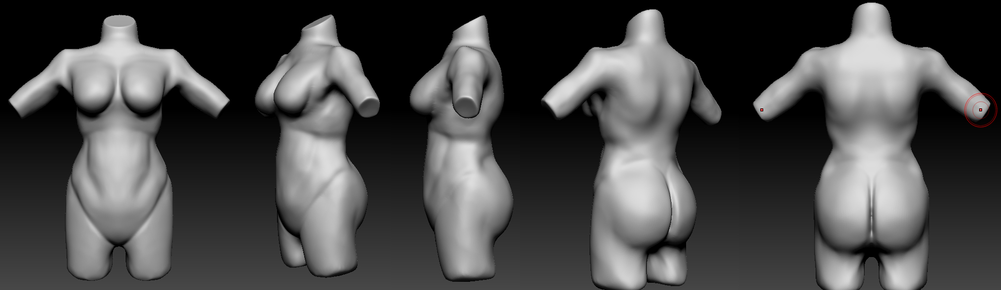 Wip 01.jpg