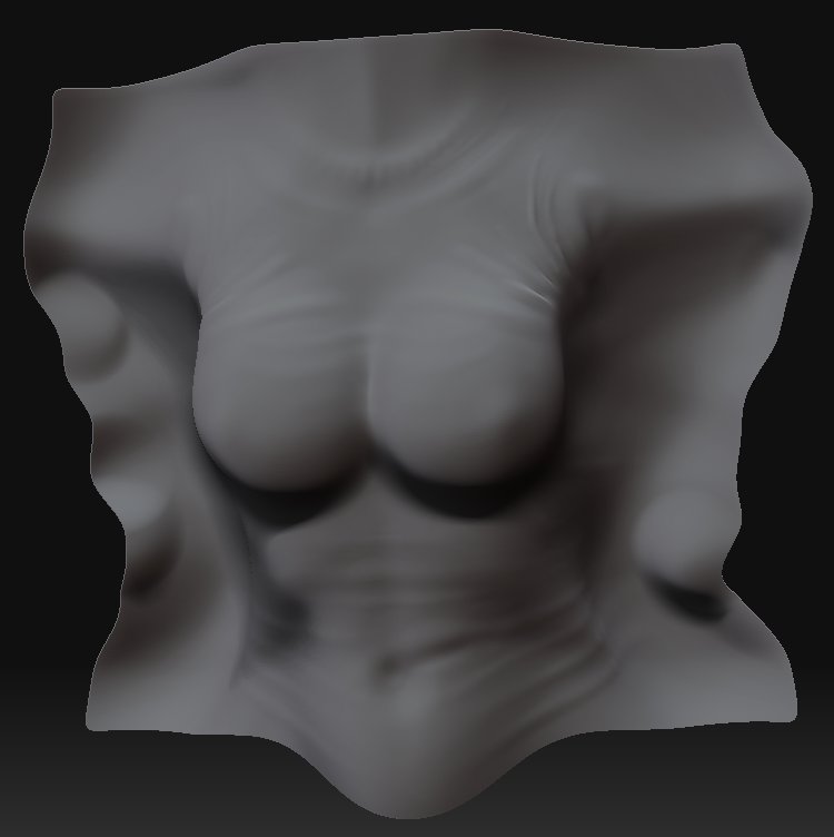 torso2.jpg