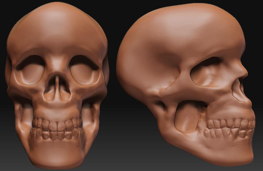 skull.jpg