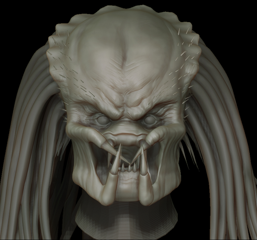 Pred Head 2.jpg