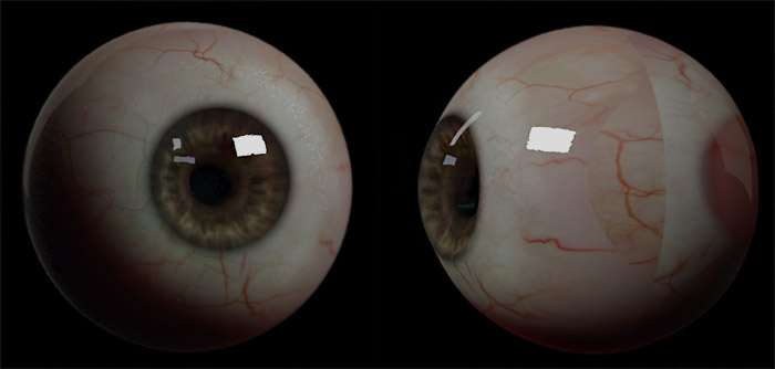 eyerenderv1.jpg