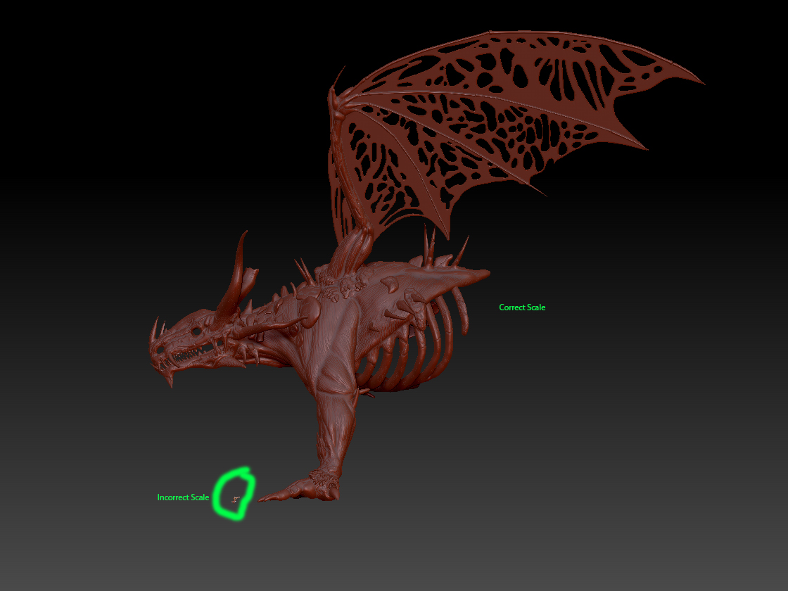 Scale comparison.jpg