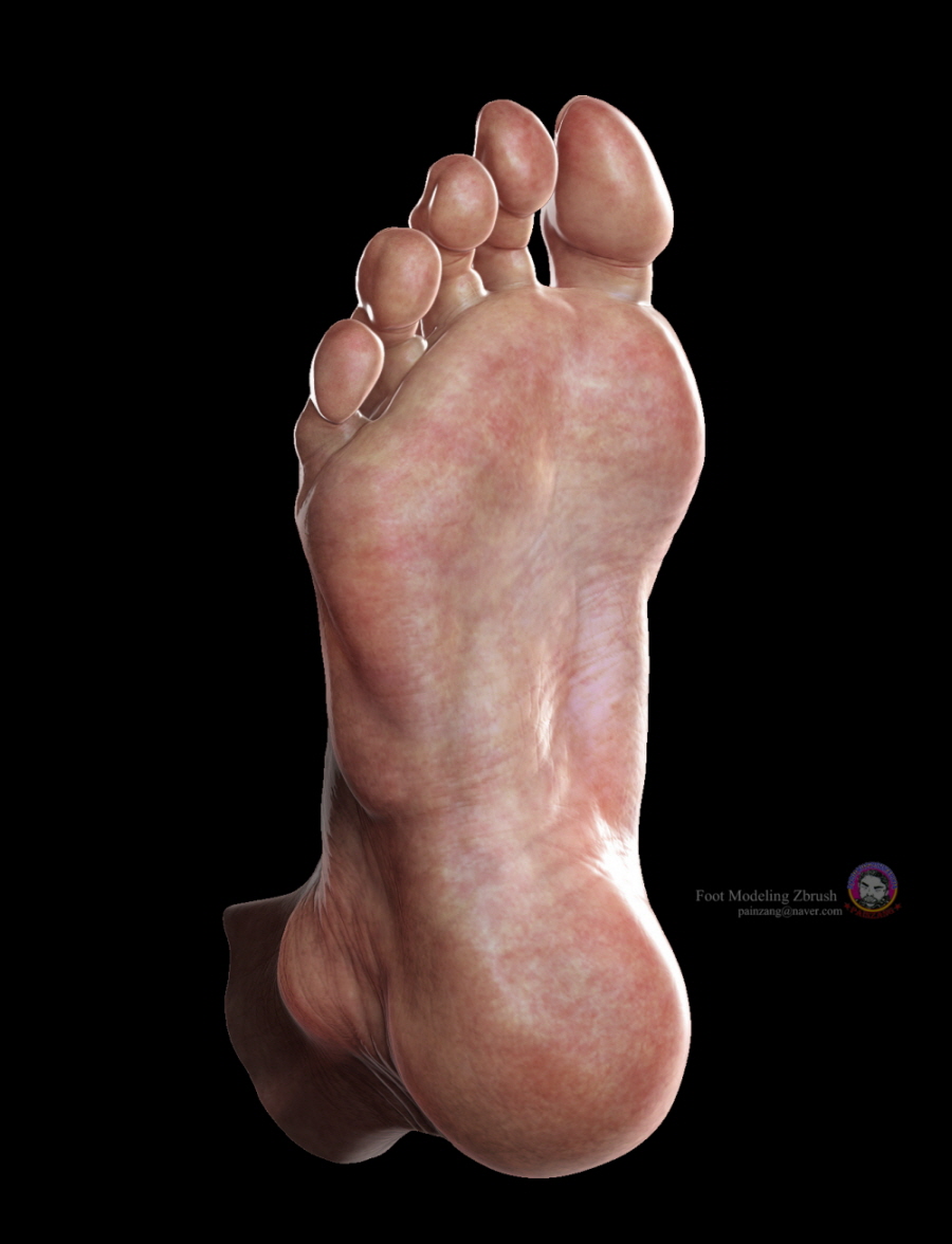 Foot_modeling_Zbrush3.jpg