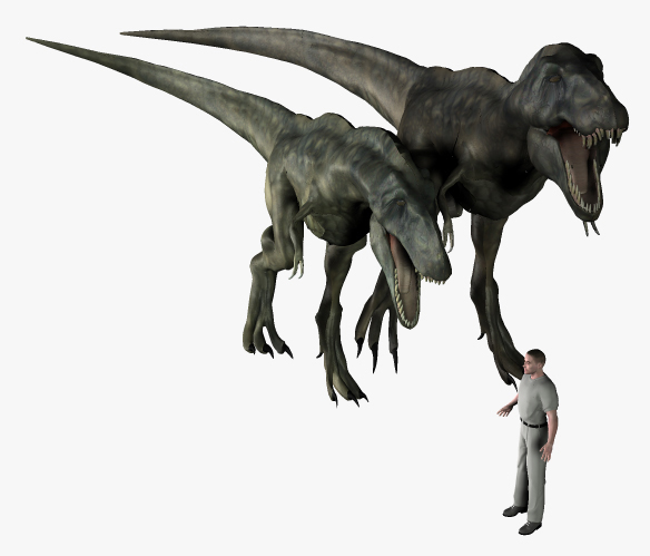 z Tarbosaurus bataar and Tyrannosaurus rex06.jpg