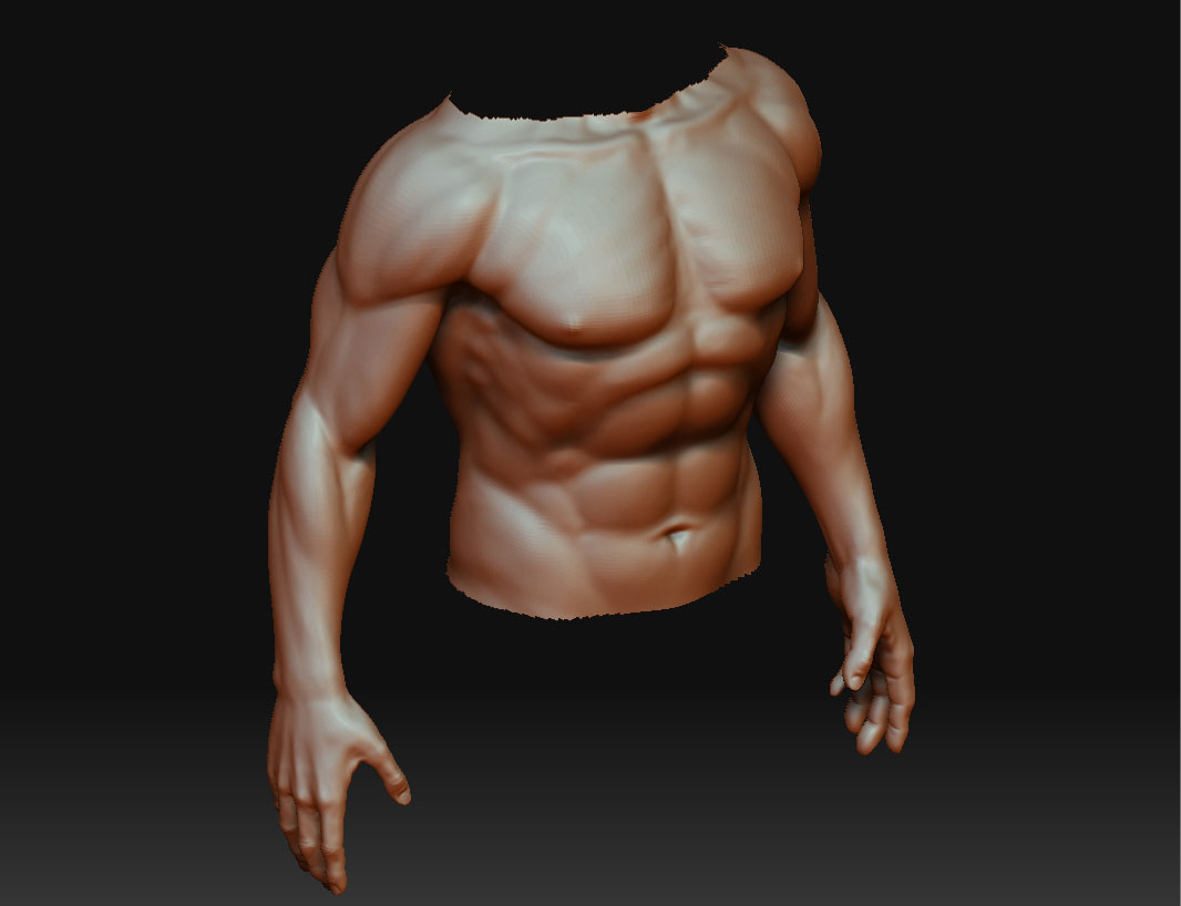 torsosamarvijayen0.jpg