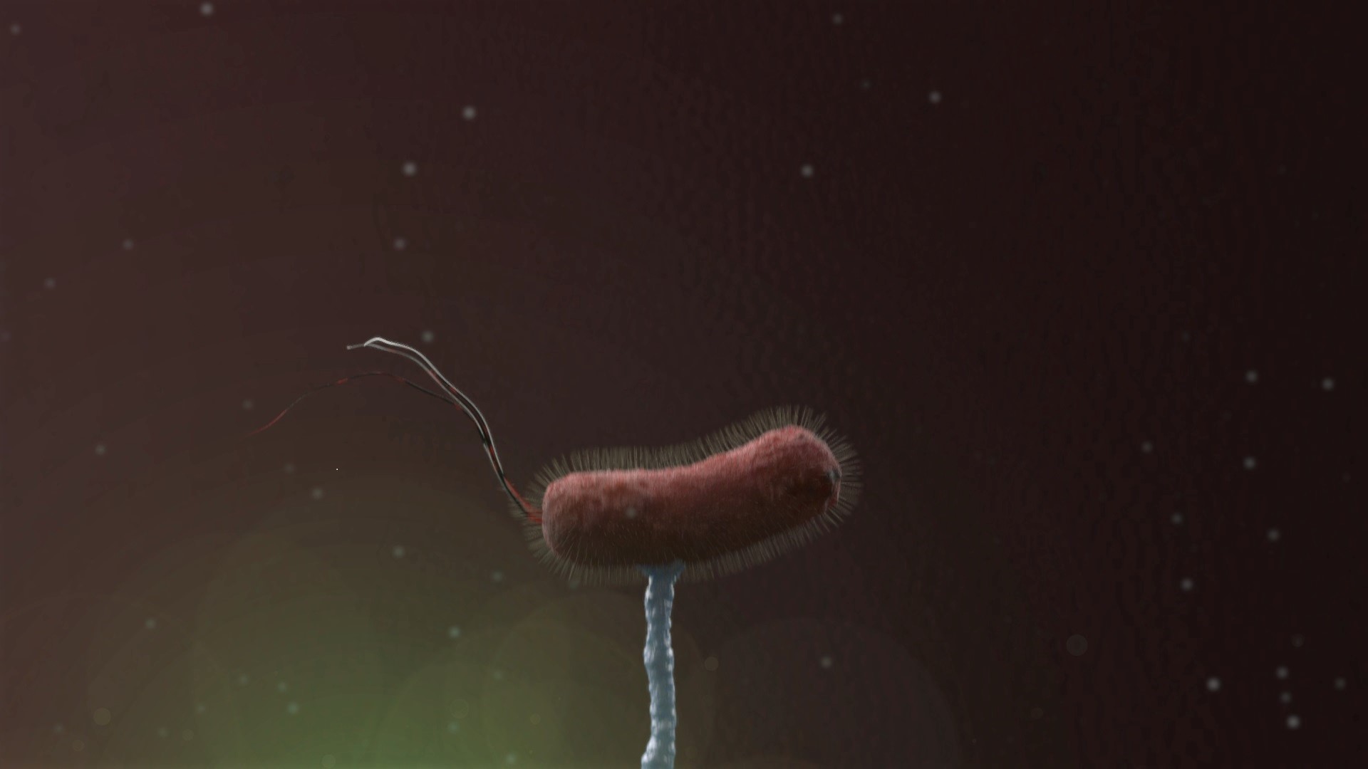 bacteria caught.jpg