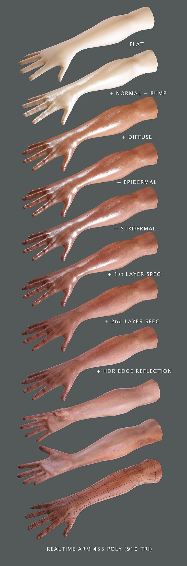 Male_Arm_Z.jpg