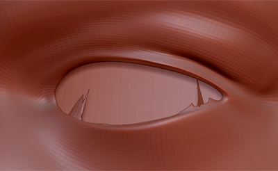 zbrush_projection_weirdness_gomax.jpg