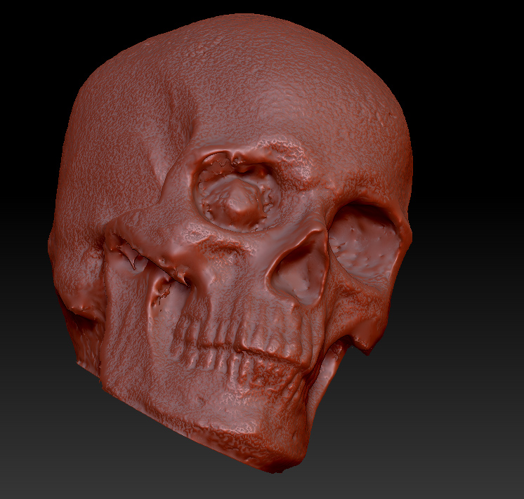 Skull.jpg