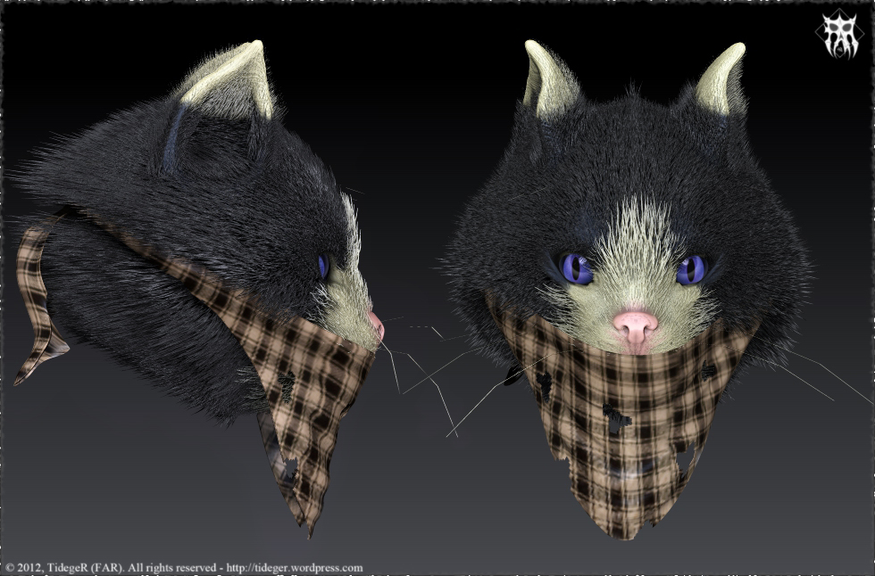 far1037-gato-pelo.jpg