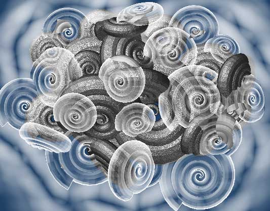 fogshells.jpg
