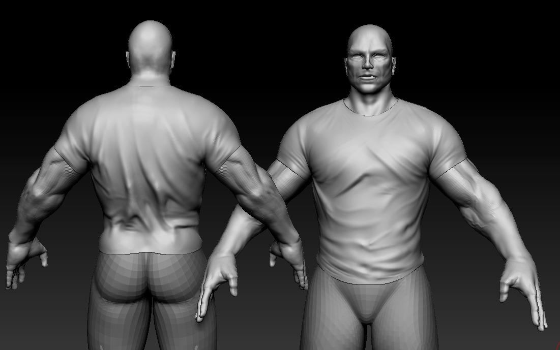 wip2a.jpg