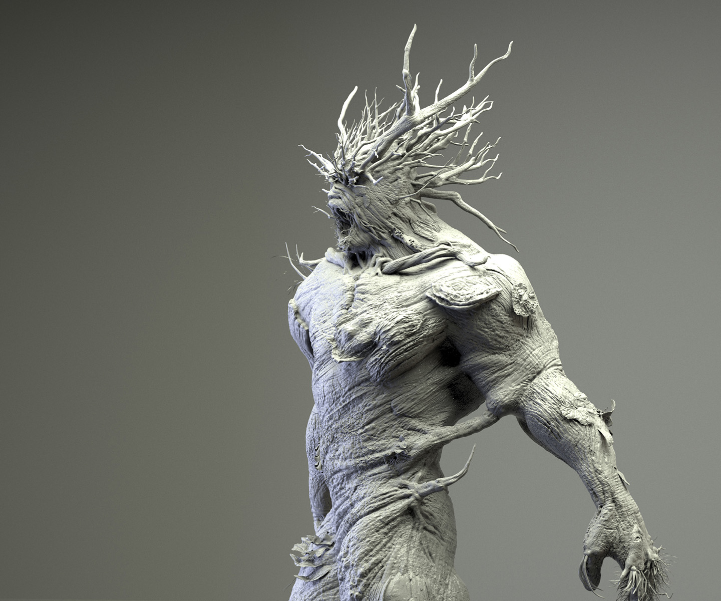 NEW TREE STUDIO.jpg
