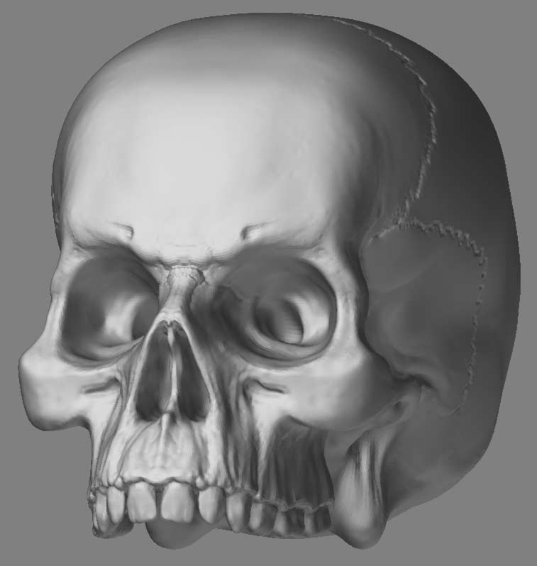Skull-Test.jpg