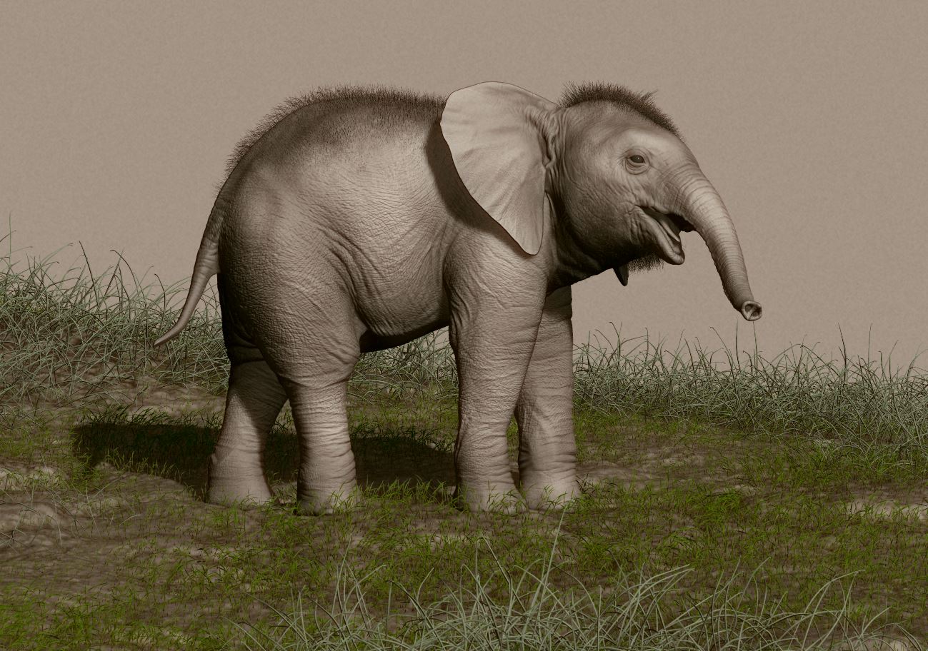 elephant_03.JPG