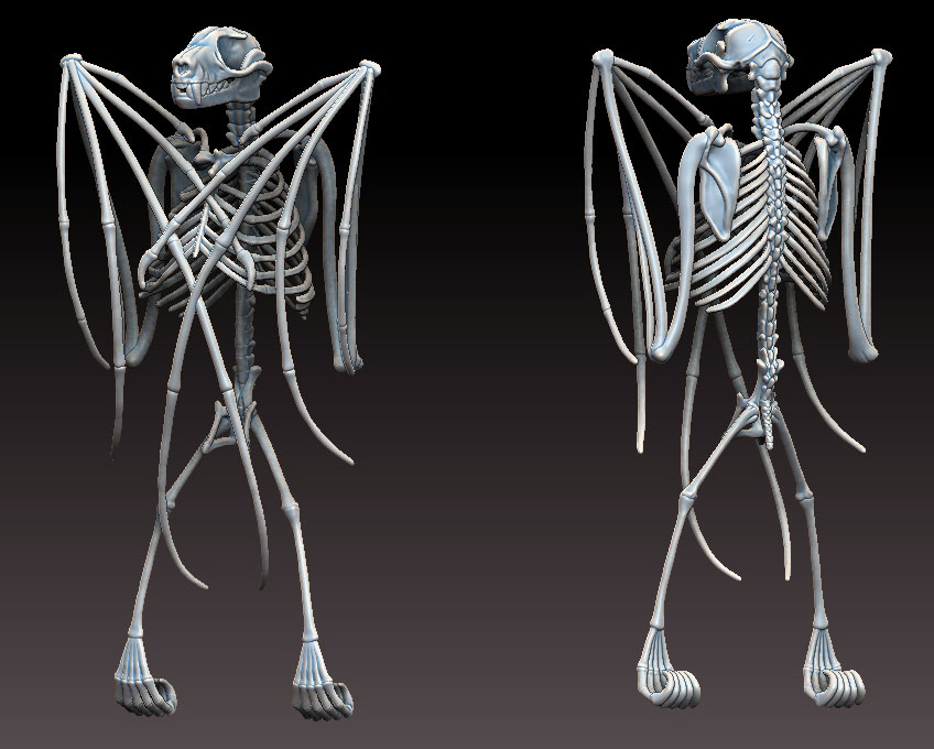 Bat-Skeleton-Closed-Wing