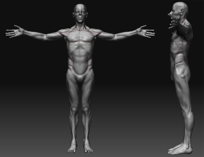 kellerMAnatStudy2.jpg