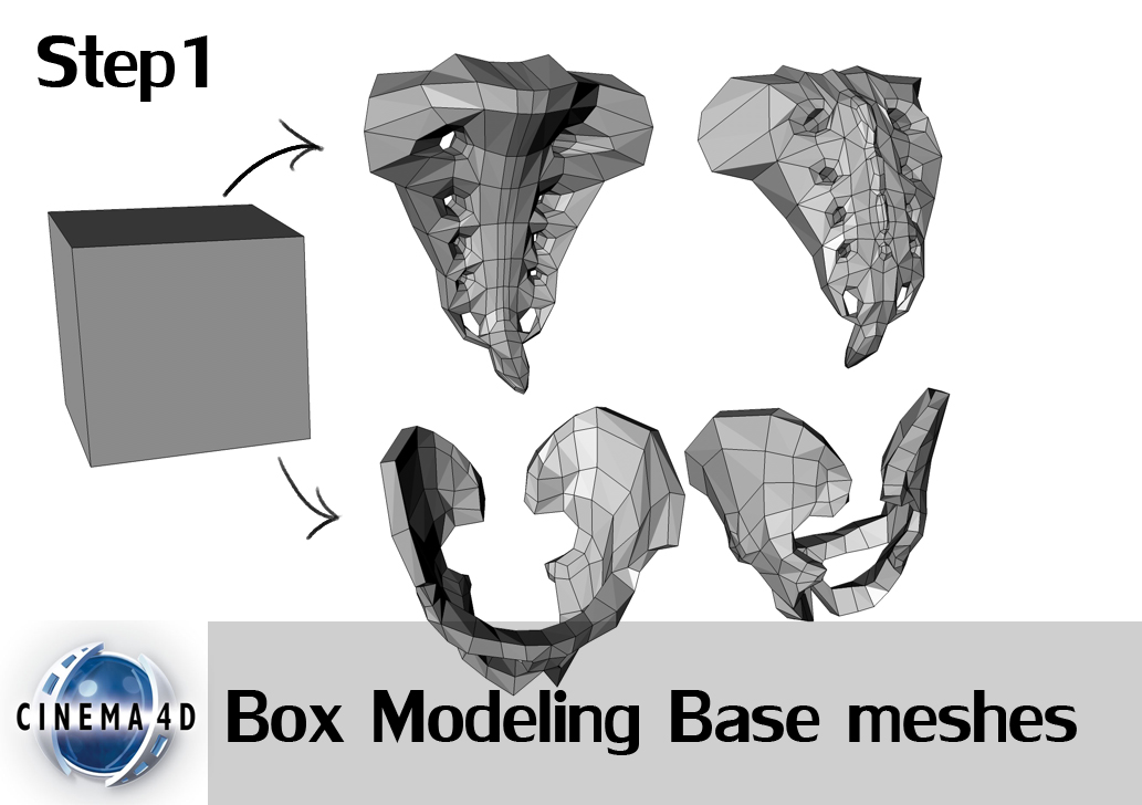 pelvis_sacrumstep1.jpg