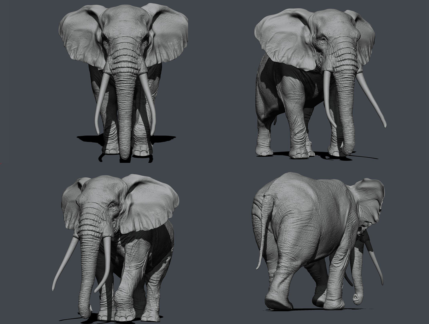 Elephant_WIP.jpg