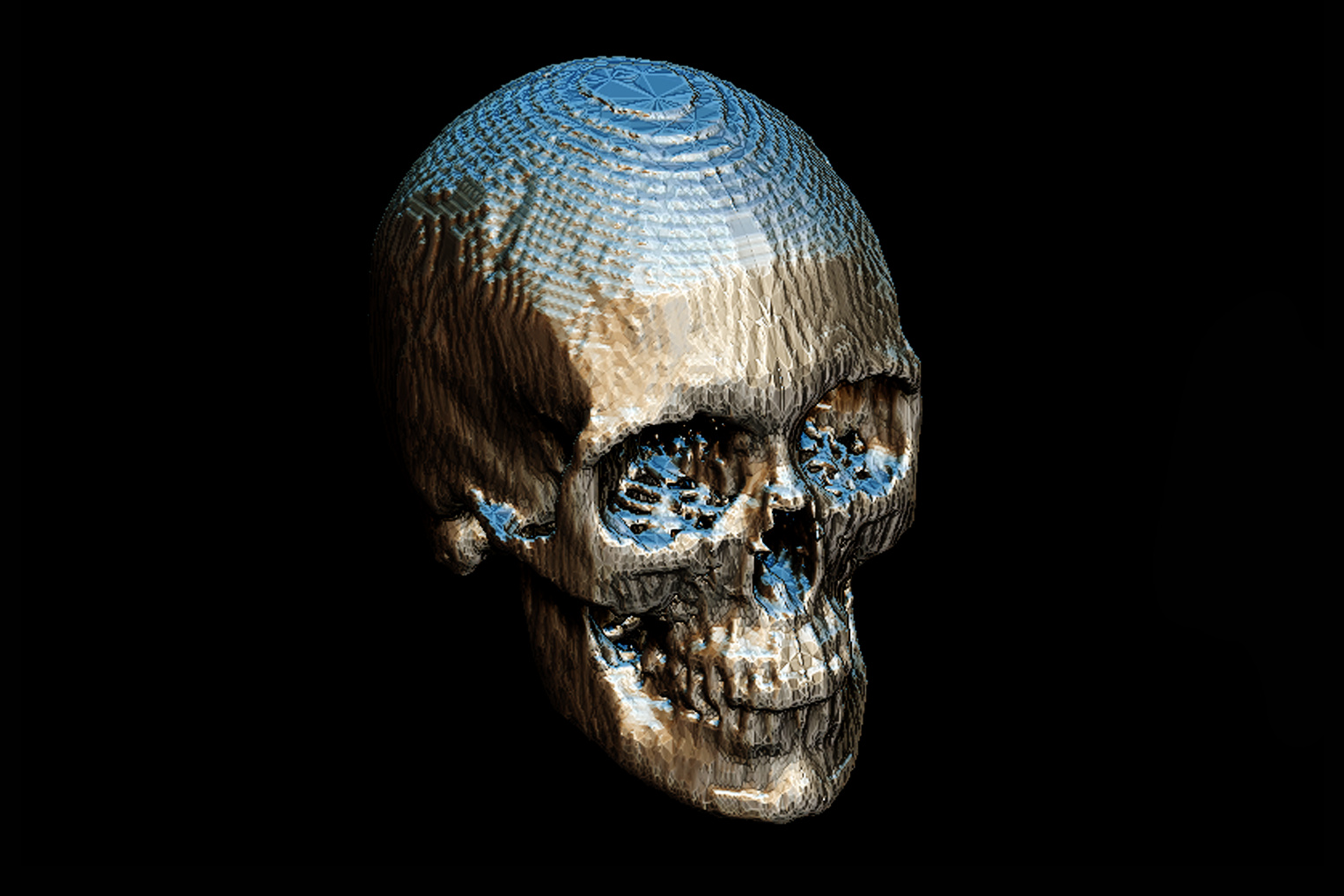 base_mesh.jpg