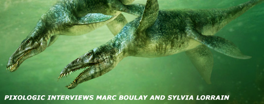 banner.jpg
